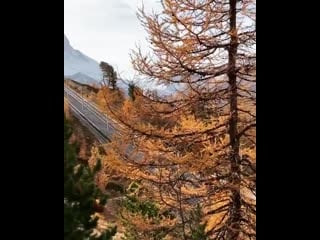 Small cogwheel trainroutes, zermatt matterhorn, switzerland