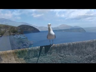 2018 5 yachting italy part 1