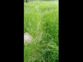 Video 20200628 191228 mp4