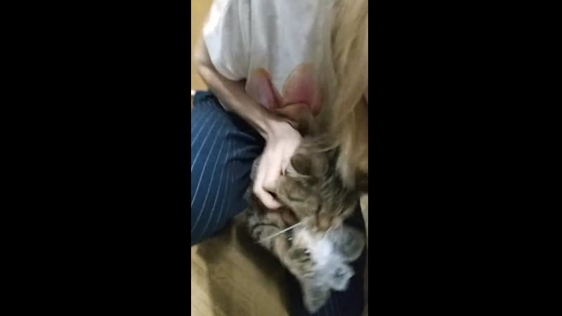 Вот это наглость! 😁