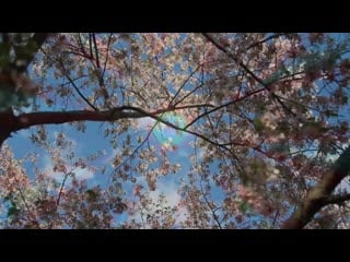 Mantra dlya uluchsheniya immuniteta andrej dujko shkola kajlas 720p