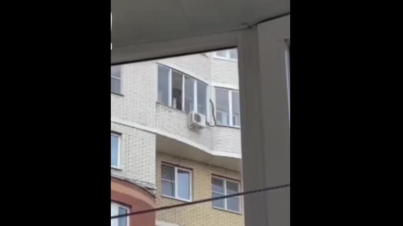 В подмосковье задержали мужчину, стрелявшего из окна