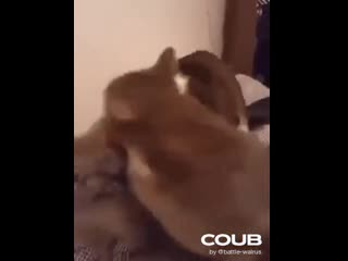 Finish him 😁