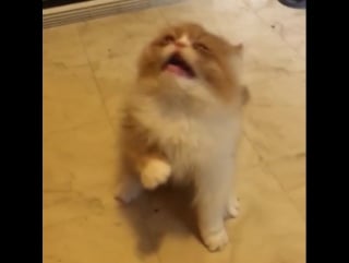 When your true passion is djing