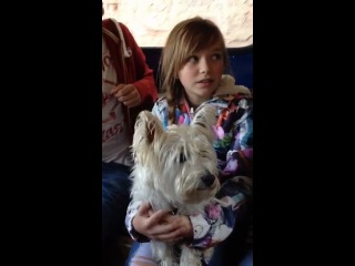 Cliff side cable car ride with minty boy by connie talbot (connietalbot607)