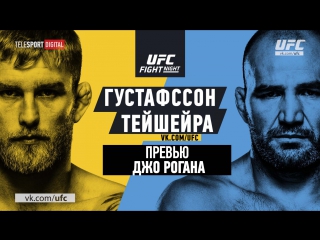 Fight night stockholm gustafsson vs teixeira joe rogan preview [rus]