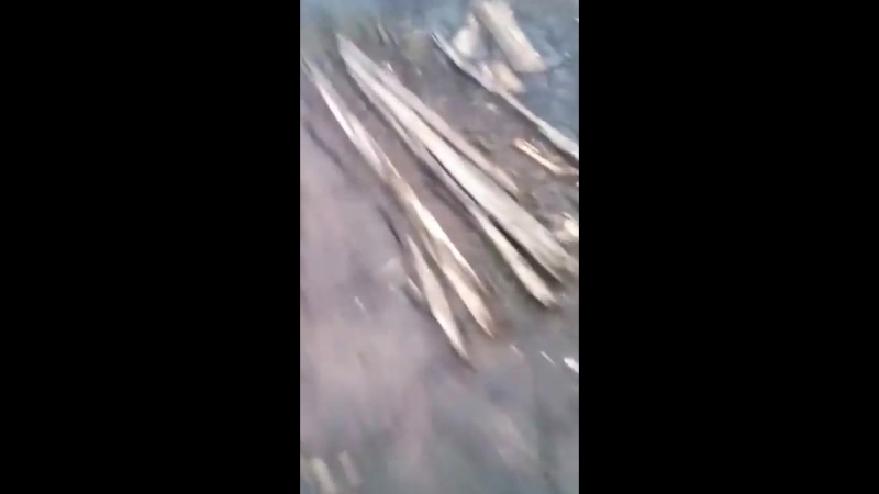 ✔ особое мнение массовое захоронение людей вскрылось под братским водохранилищем