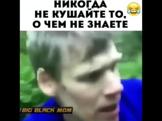 Video krolik+instautility 00d5f mp4