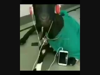 Primetime az 20181215 0001 mp4