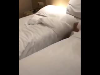 После долгого перелёта