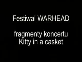 Festiwal warhead kitty in a casket