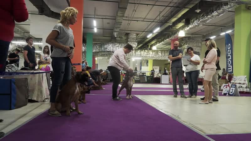 Рыжие суки юниорки