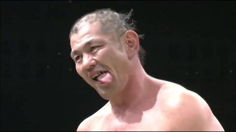 Tenryu project genichiro tenryu retirement 2015 revolution final