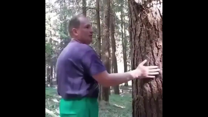 Я вот а так вот ребра достаются, глаза понимаете