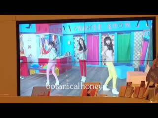 Smrookies (koeun, lami, hina) gee @ cut