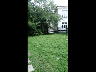 Vid 20200822 123716 mp4