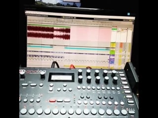 Pamela the cat approves this track and this message #dd #production #abletonlive #mixing