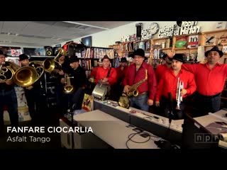 Fanfare ciocarlia 2014 tiny desk concert from nprtv