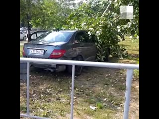 Лихач на mercedes сбил пешехода и снес дерево в центре тюмени