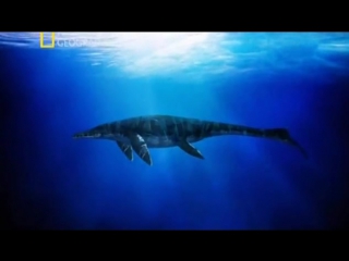 С точки зрения науки 133 морские чудовища древности