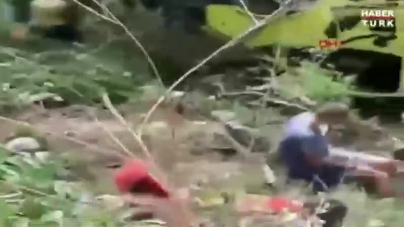 Автобус с русскими туристами упал в овраг