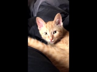 Me yoongi, your fans miss you, all armys miss you maybe feel like tweeting something anything yoongi