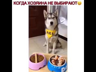 Video goodmood 20201203 4 mp4