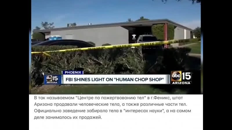Пиндосная торговля трупами