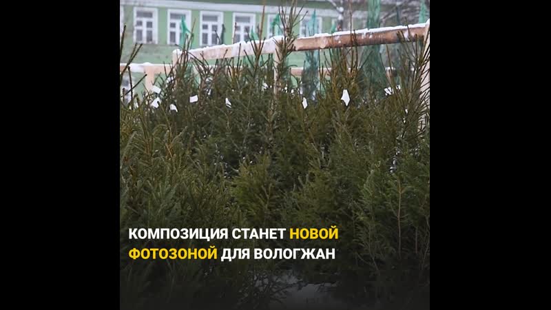 Ёлочный базар