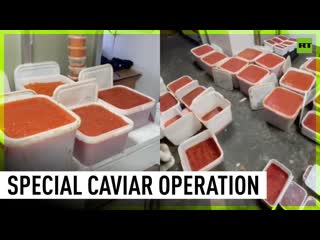 Russian fsb seizes over half a ton of caviar worth more than 3 5 million rubles