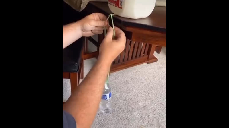 Парящая бутылка