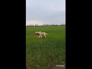 Когда две тётки выясняют кто красивее, приходит мужик и все согласны он самый самый