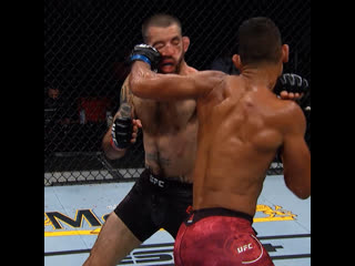 Мигель баеза нокаутирует "бессмертного"!