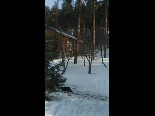 Vid 20210222 103140 mp4