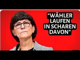 Eilmeldung spd jetzt im freien fall der abgeordnete