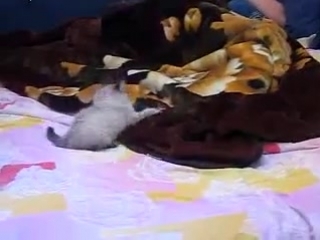 Развлекушки у ксюшки