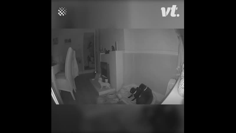 Привидения моменты пойманные на камеру