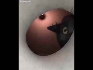 Catty paws 20200605 150129 0 mp4