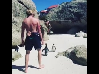 Domsherwood just trying to fit in seeing as i forgot my penguin suit