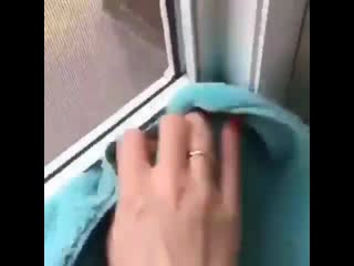 Ekaterina greenway 26 20191109 13 mp4