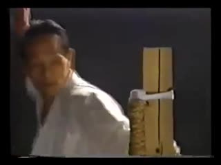 Karate shotokan ryu asai ha sensei tetsuhiko asai kihon and kata