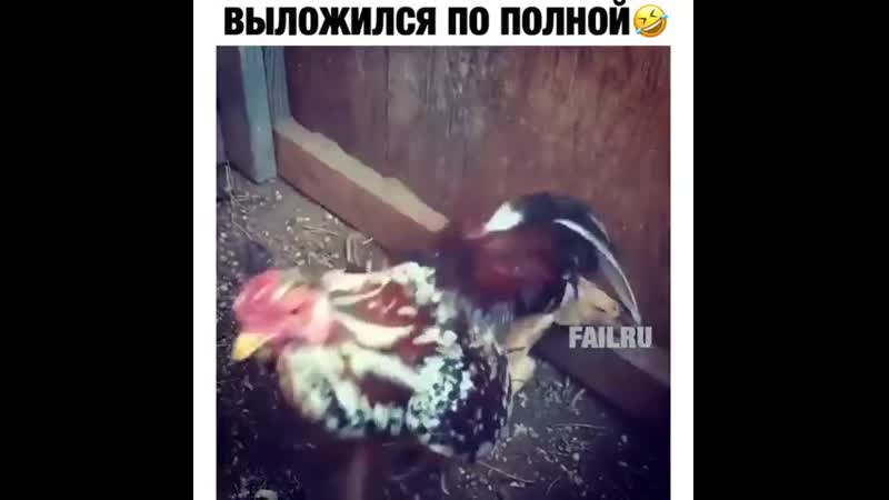 Силы porn video – Молодой не рассчитал силы