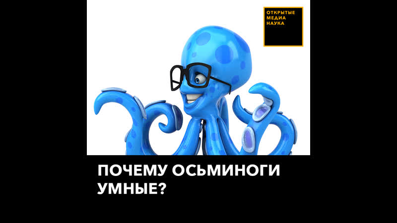Почему осьминоги умные