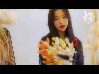 Bvndit (밴디트) hocus pocus [1인칭 라이브]