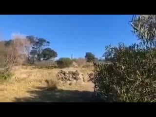 Live to mtb 20200804 0001 mp4