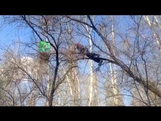 Серёжа ловит покемона