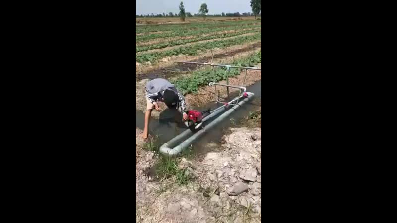 Полив поля