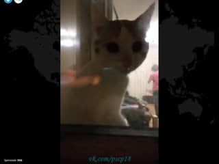 Подглядывает за попкой в трусиках своей девушки с балкона periscope перископ