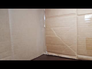 Mystique s misfortune a stuck motion mp4