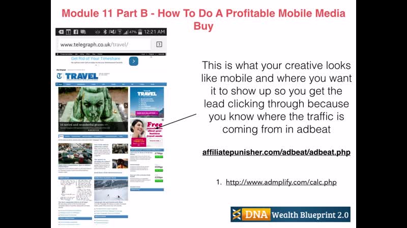 Andrew fox and peter parks dna wealth blueprint